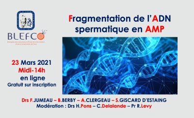 Webinar SALF BLEFCO 23 03 21 Fragmentation de l’ADN en AMP