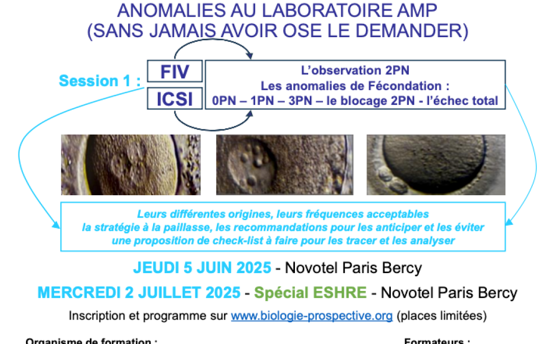 FORMATION : Tout ce que vous avez voulu savoir sur les anomalies au laboratoire AMP (Sans jamais avoir osé le demander)