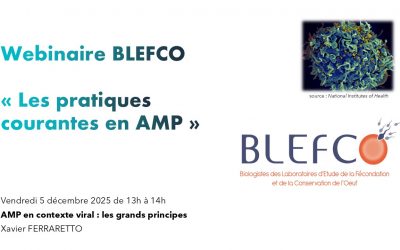 Webinaire BLEFCO « Les pratiques courantes en AMP » Vendredi 5 décembre 2025